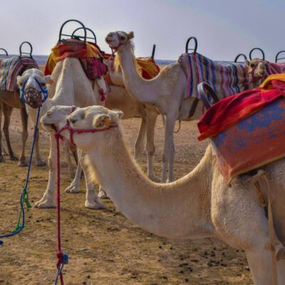 Agafay Desert Morocco