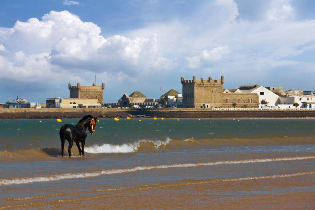 Essaouira Morocco