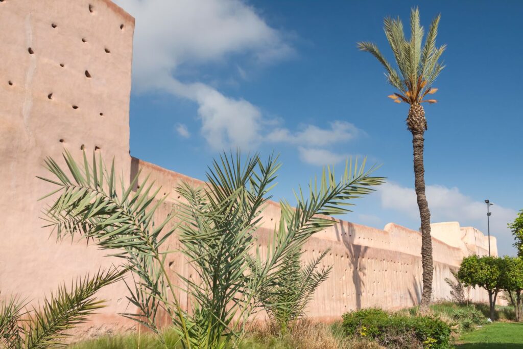 Bab Debbagh in Marrakech