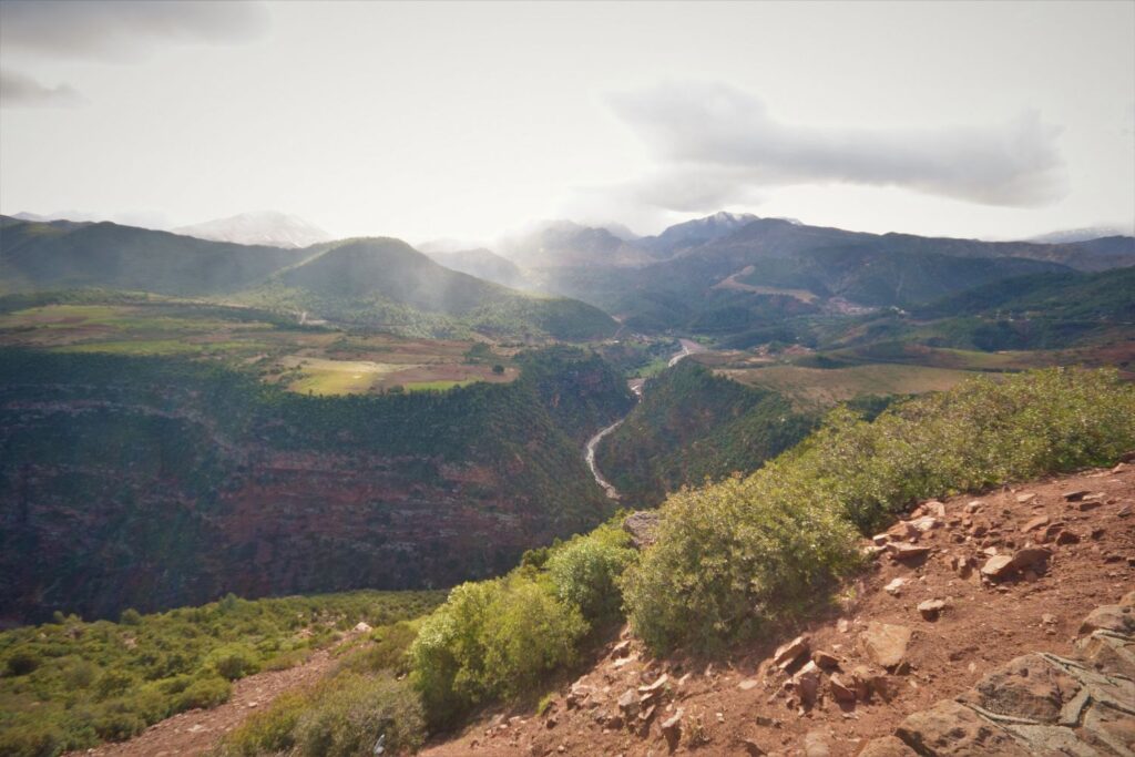 Timichi in Marrakech